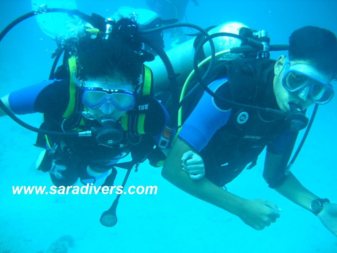 イントロダイブ